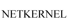 NETKERNEL trademark