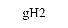 GH2 trademark