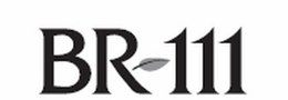 BR 111 trademark