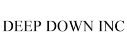 DEEP DOWN INC trademark