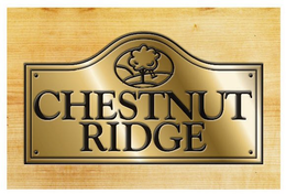CHESTNUT RIDGE trademark