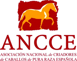 ANCCE ASOCIACIÓN NACIONAL DE CRIADORES DE CABALLOS DE PURA RAZA ESPAÑOLA trademark