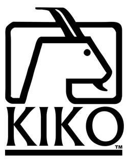 KIKO trademark
