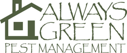 ALWAYS GREEN PEST MANAGEMENT trademark