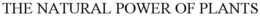 THE NATURAL POWER OF PLANTS trademark