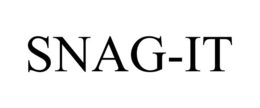 SNAG-IT trademark