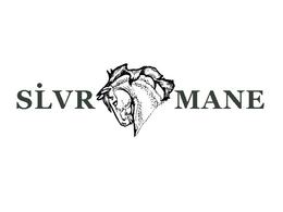 SLVR MANE trademark