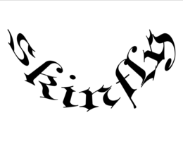 SKINFLY trademark