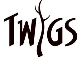 TWIGS trademark