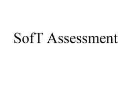 SOFT ASSESSMENT trademark