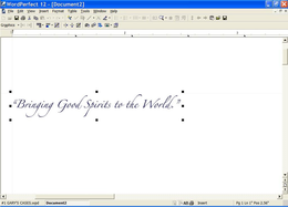 BRINGING GOOD SPIRITS TO THE WORLD trademark