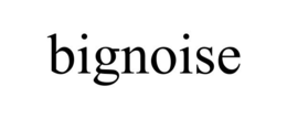 BIGNOISE trademark