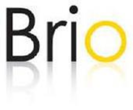 BRIO trademark