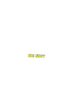 BIG SHOT trademark