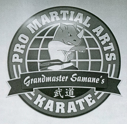 GRANDMASTER SAMANE'S PRO MARTIAL ARTS KARATE trademark