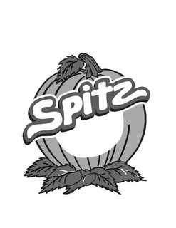 SPITZ trademark