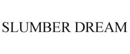 SLUMBER DREAM trademark