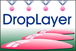 DROP LAYER trademark
