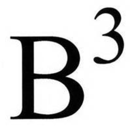 B3 trademark