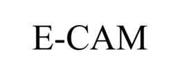 E-CAM trademark