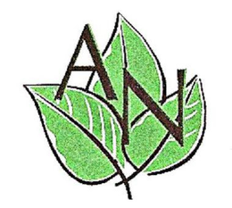 AN trademark