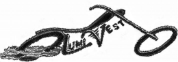 LUMI VEST trademark