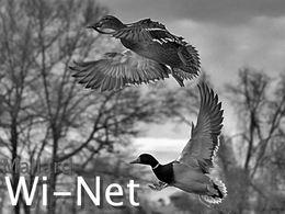 MALLARD WI-NET trademark
