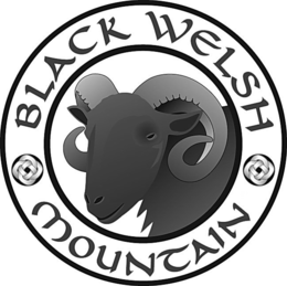 BLACK WELSH MOUNTAIN trademark
