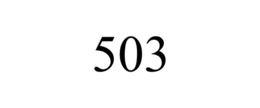 503 trademark