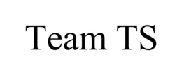 TEAM TS trademark