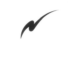 N trademark