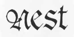 NEST trademark