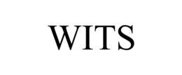 WITS trademark