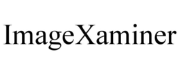 IMAGEXAMINER trademark