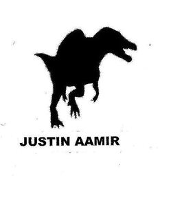 JUSTIN AAMIR trademark