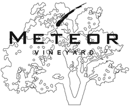 METEOR VINEYARD trademark