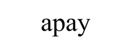 APAY trademark
