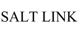 SALT LINK trademark