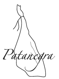 PATANEGRA trademark