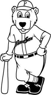 P PAWSOX trademark