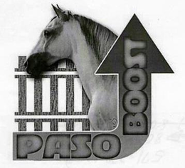 PASO BOOST trademark