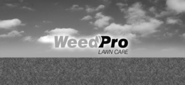 WEEDPRO LAWN CARE trademark