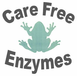 CARE FREE ENZYMES trademark