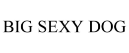 BIG SEXY DOG trademark