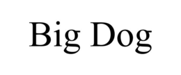 BIG DOG trademark