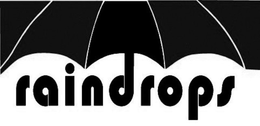 RAINDROPS trademark