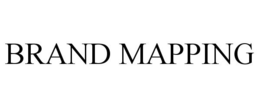 BRAND MAPPING trademark