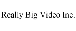 REALLY BIG VIDEO INC. trademark