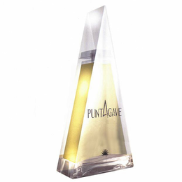 PUNTAGAVE trademark