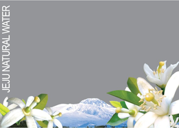 JEJU NATURAL WATER trademark